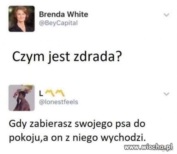 Zdrada