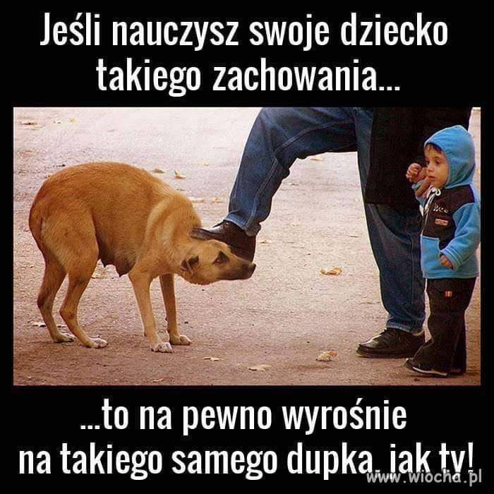 Albo wstąpi do ONR