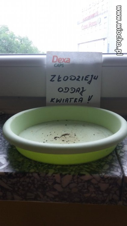 Uwaga, złodziej w Gorzowie 