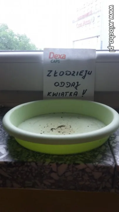 Uwaga, złodziej w Gorzowie 