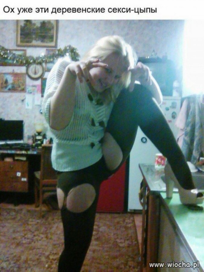 Kocica