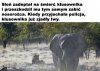 Z życia kłusownika