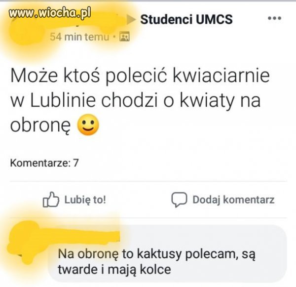 Potrzebne kwiaty