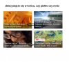 W końcu co ma być?