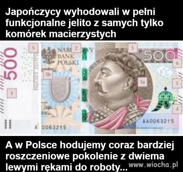 Roszczeniowe pokolenie