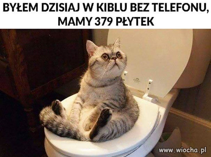 Tymczasem w kiblu...