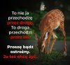 Przekaz dnia