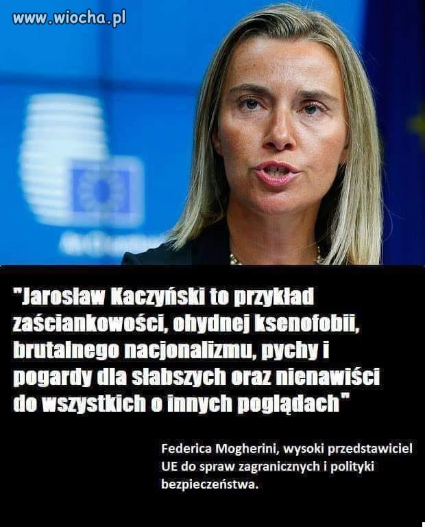 Już wszyscy się na nim