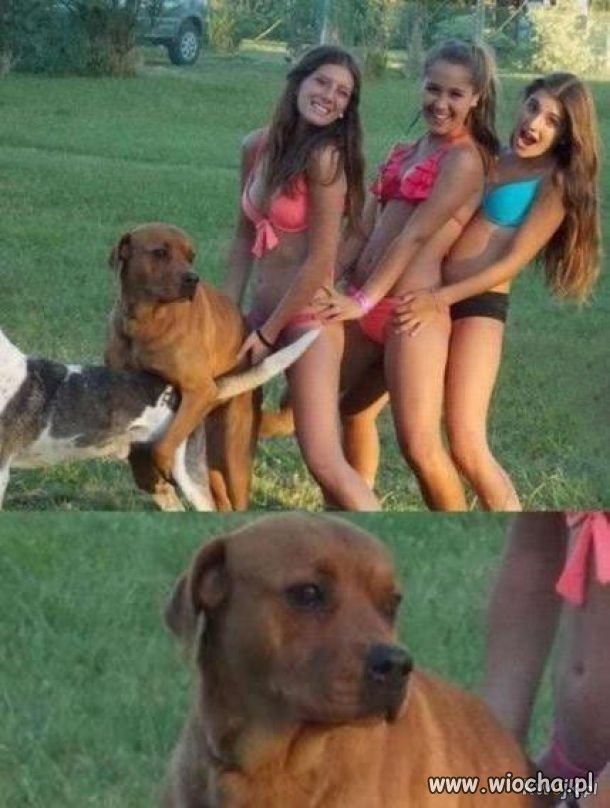 WTF???