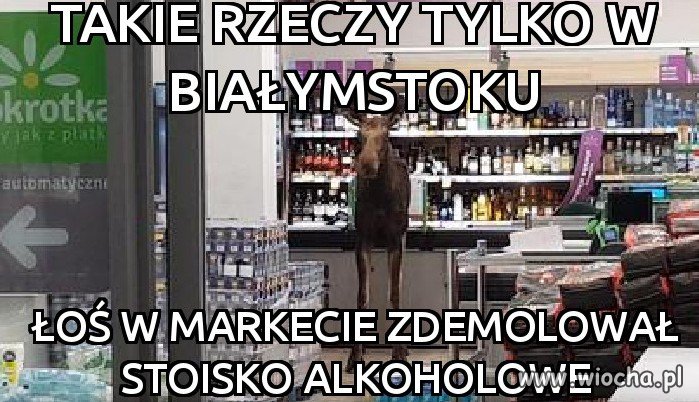 Szalone Podlasie