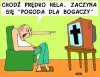 Pogoda