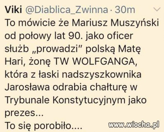 Oni w tej bandzie wszyscy po jednych pieniądzach 