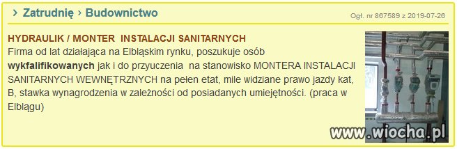 Wykfalifikowani
