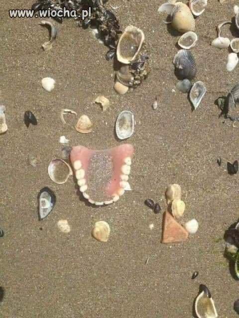 Bursztynek ,Bursztynek