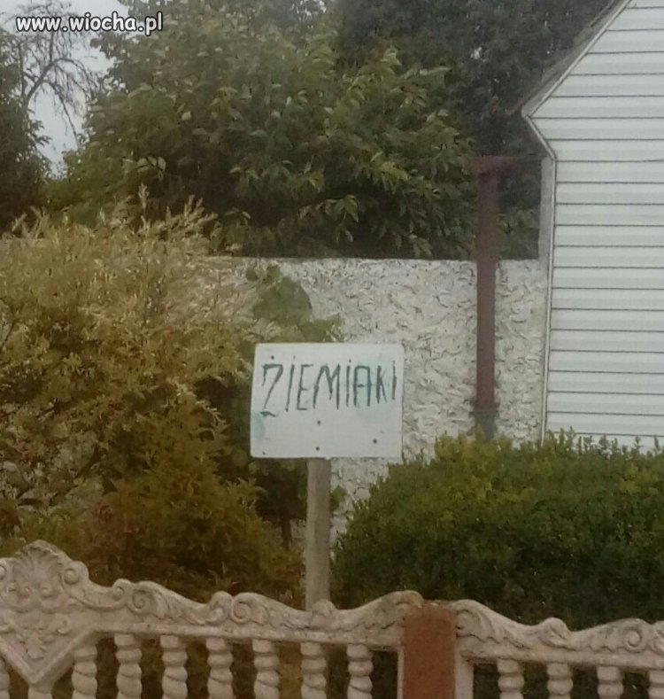 Piątek...