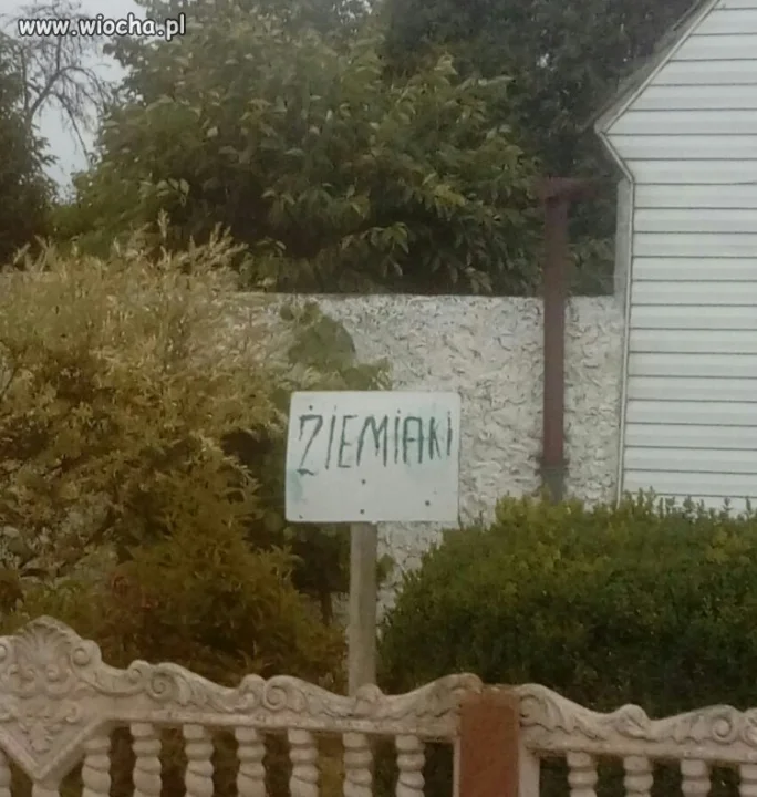 Piątek...