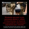 I prawidłowo