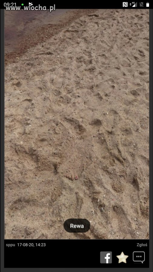 Tajemnice plaży w Rewie