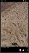 Tajemnice plaży w Rewie