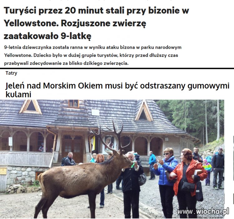 Bezmyślność