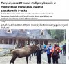 Bezmyślność