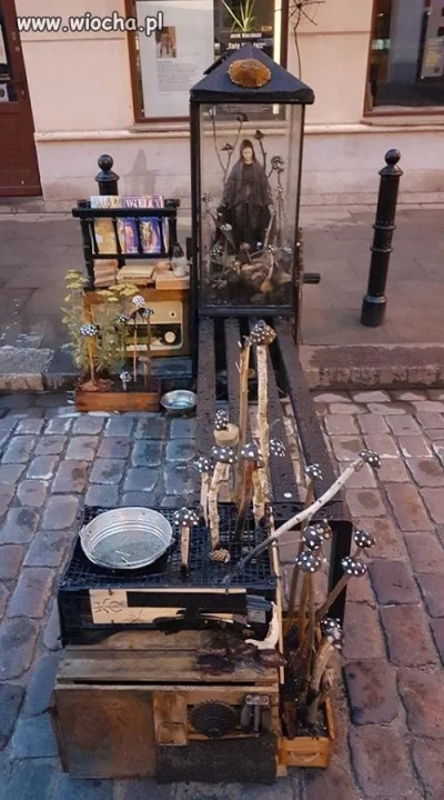 Matka Boska halucynogenna