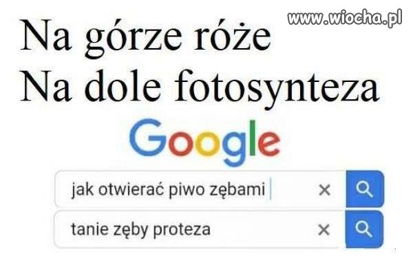 Tymczasem 