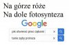 Tymczasem 
