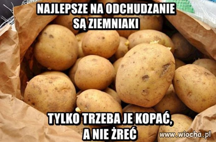 Dieta ziemniaczana