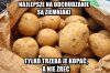 Dieta ziemniaczana