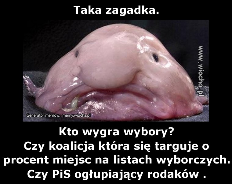 Taka zagadka.