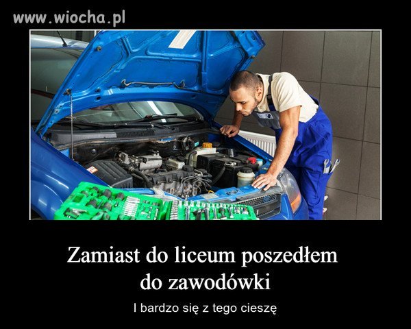 Polska edukacja 