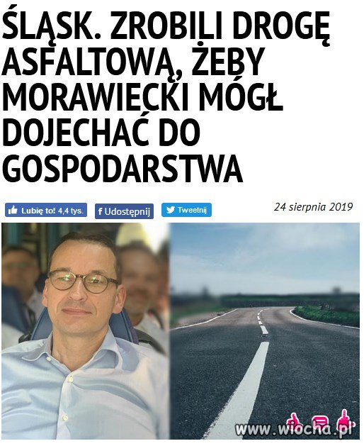 Trawa na zielono