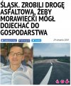 Trawa na zielono
