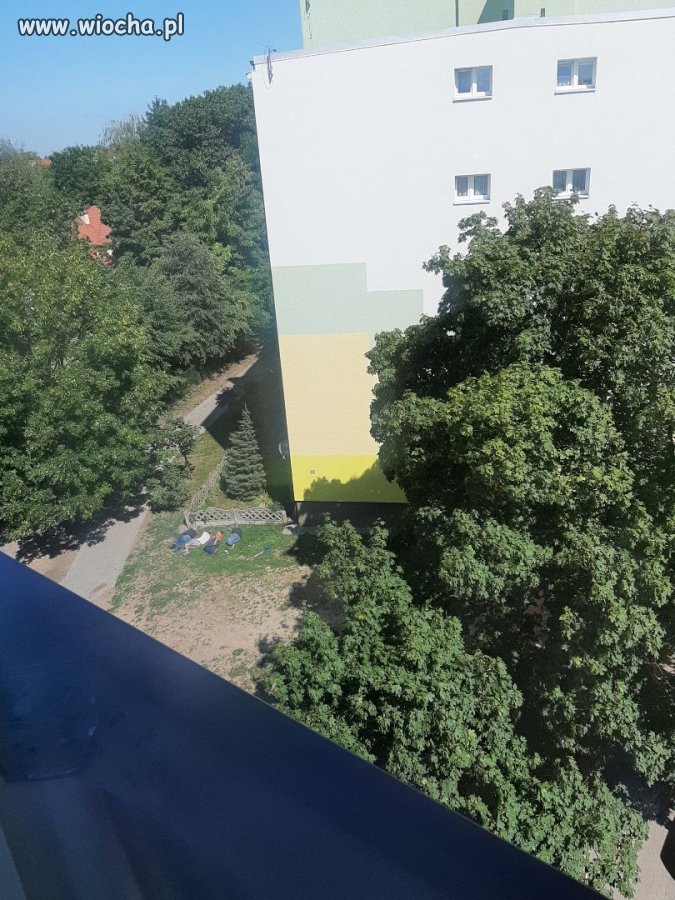 Niedziela