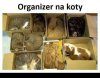Organizer...