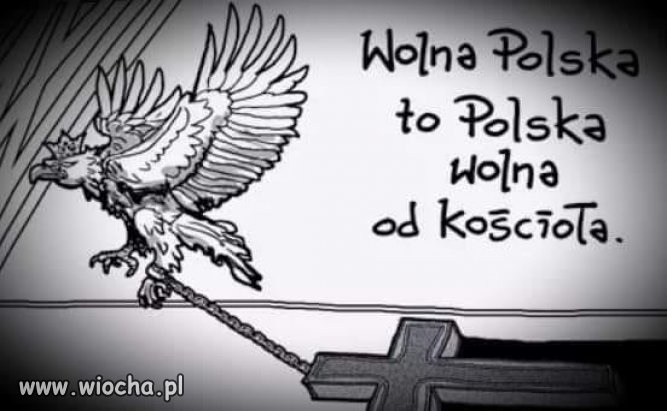 Zgadzacie się?