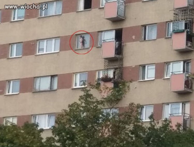 Ojciec śpi pijany w biały dzień