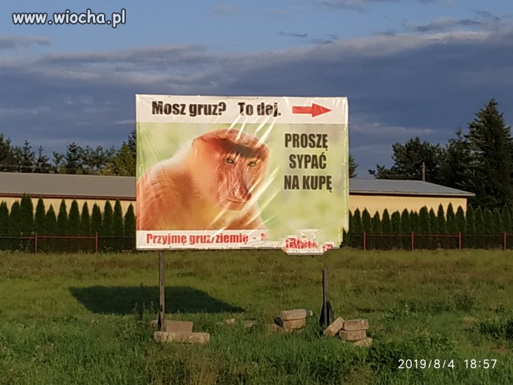 Janusz reklamy