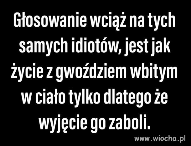 Ci sami idioci...