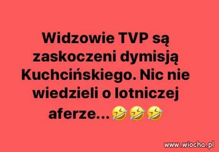 Widzieli tylko oklaski na stojąco 