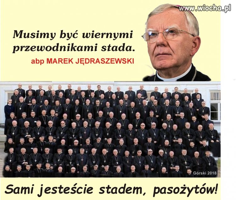 Arcybiskup znów coś wydalił ...