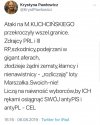 Wściekła Krycha