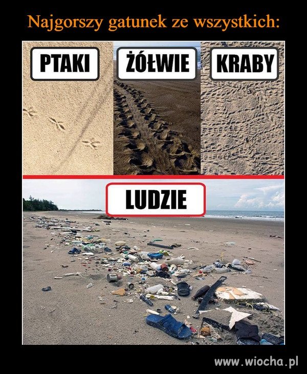 Taka prawda