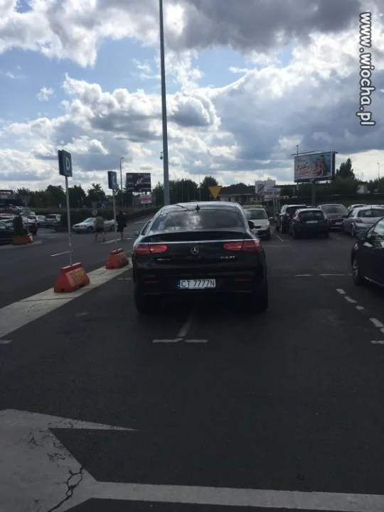 Tymczasem w Toruniu...