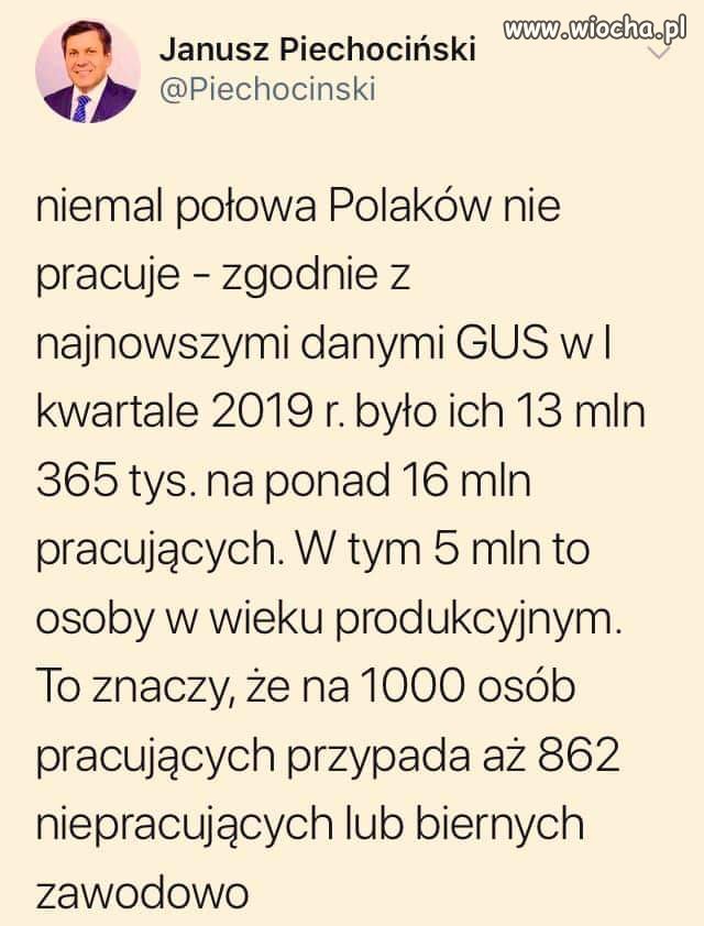 13 milionów