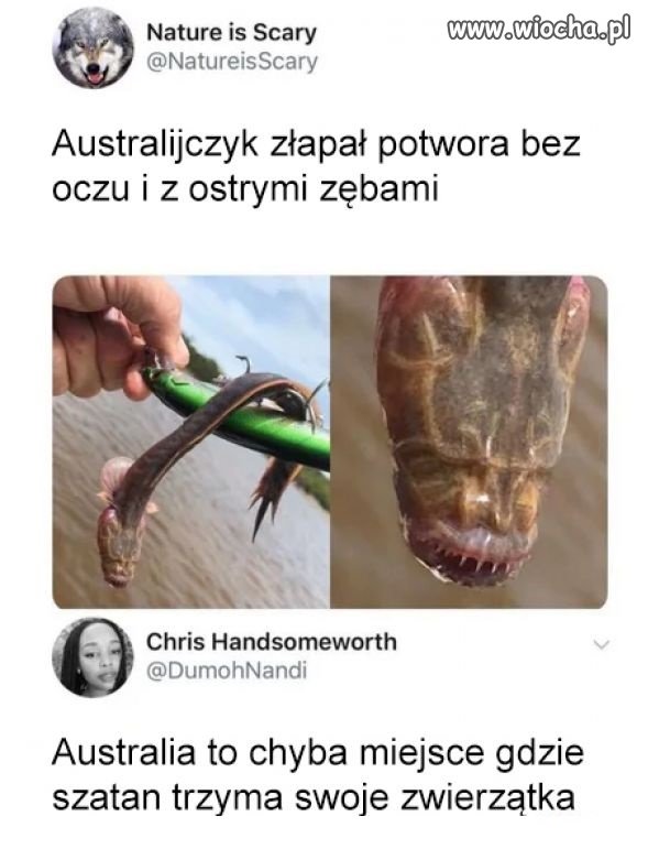 Australia to miejsce, gdzie...