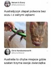 Australia to miejsce, gdzie...