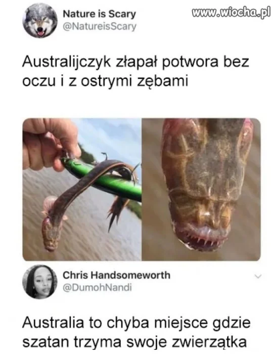 Australia to miejsce, gdzie...