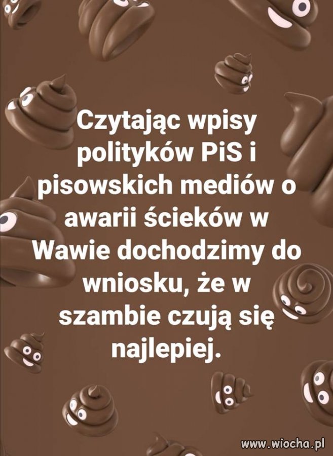 PiS wreszcie odnalazł swoje naturalne środowisko 